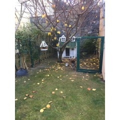 K�pek K�l�besi �itle �evirme