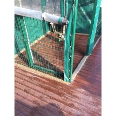 K�pek K�l�besi �itle �evirme