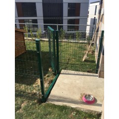 K�pek K�l�besi �itle �evirme