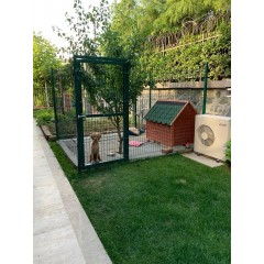 K�pek K�l�besi �itle �evirme